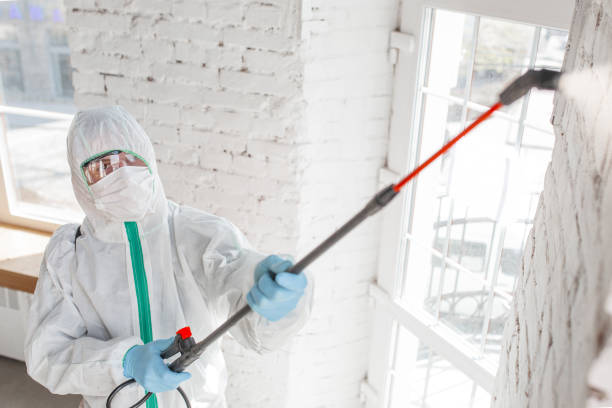 Best Post-Construction Mold Inspection  in Guyton, GA