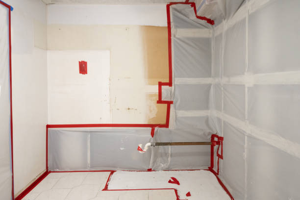 Best Commercial Mold Inspection  in Guyton, GA