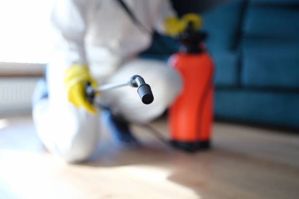 Best Mold Prevention Services  in Guyton, GA