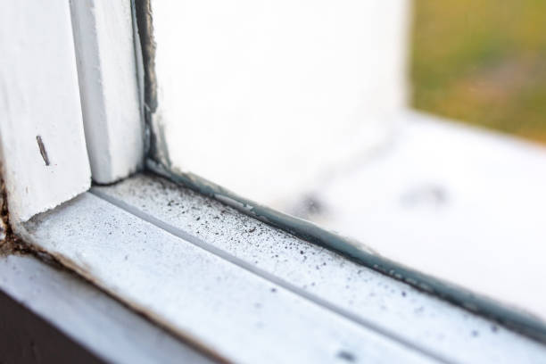 Guyton, GA Mold Removal Company