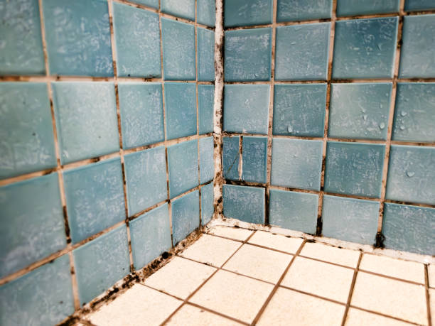 Best Air Quality Testing for Mold Spores  in Guyton, GA