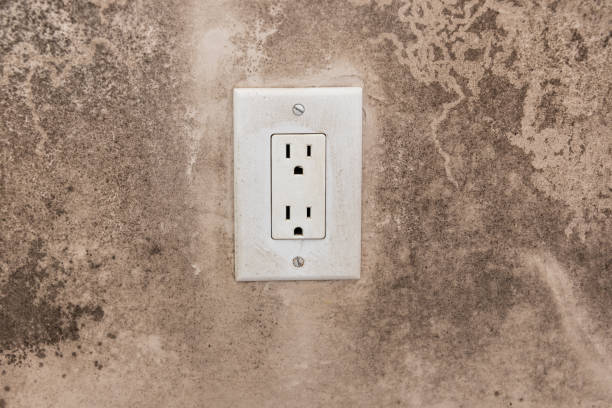 Mold Remediation for Rental Properties in Guyton, GA