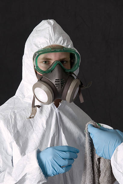 Best Mold Remediation for Rental Properties  in Guyton, GA